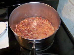 Beans Beans the musical... oh never mind.