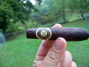 Odd shaped little bugger